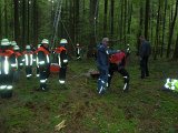 Maibaum_2016 (8).JPG